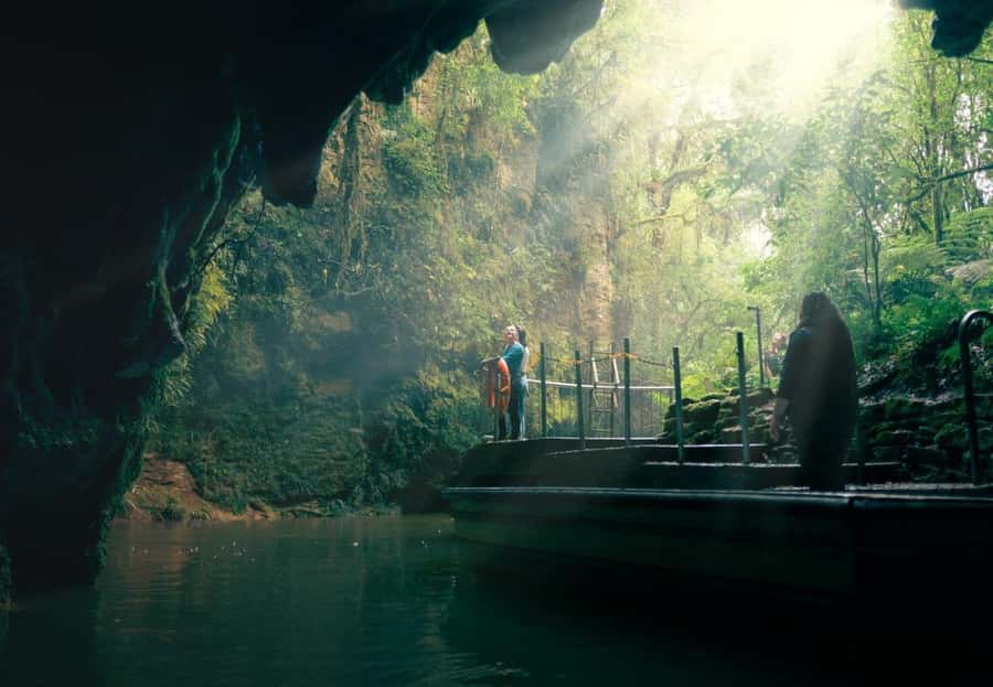 Auckland: Waitomo Caves & Rotorua - Te Puia Small-Group Tour - Five things to know before you book