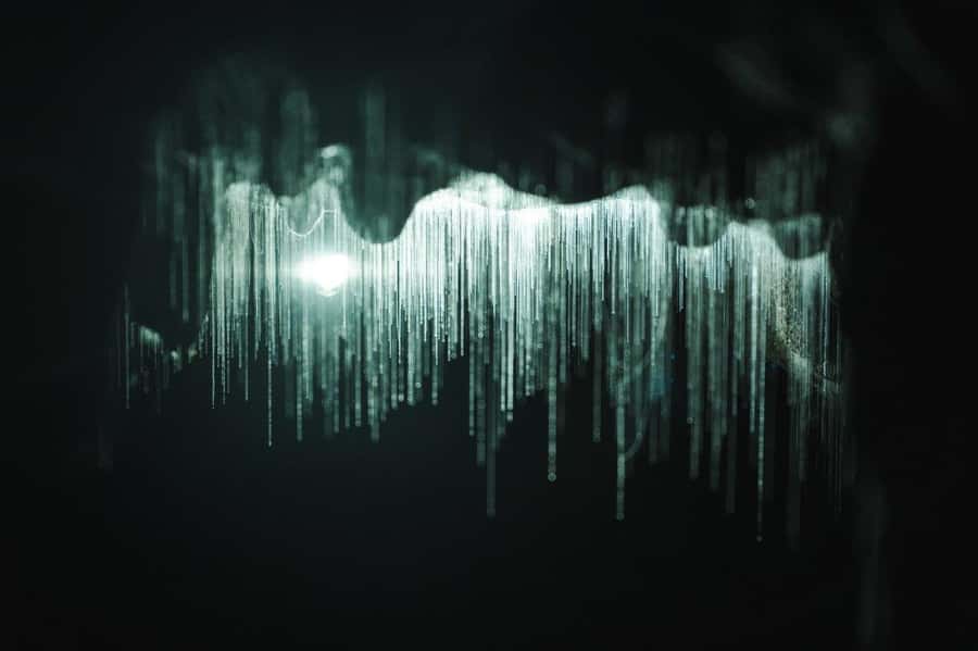 Auckland: Waitomo Caves & Rotorua - Te Puia Small-Group Tour - Is $244 good value for a 13-hour day?