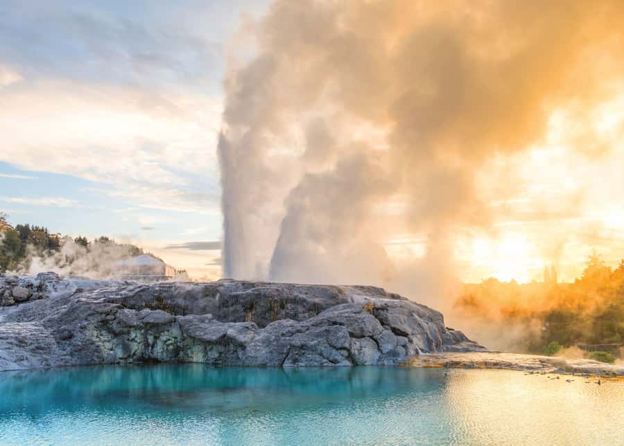Auckland: Waitomo Caves & Rotorua - Te Puia Small-Group Tour - Should you book the Waitomo and Te Puia tour?