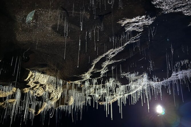 Auckland : Waitomo Spellbound Glow Worm Twin Caves Private Tour - Why this Waitomo day trip works from Auckland