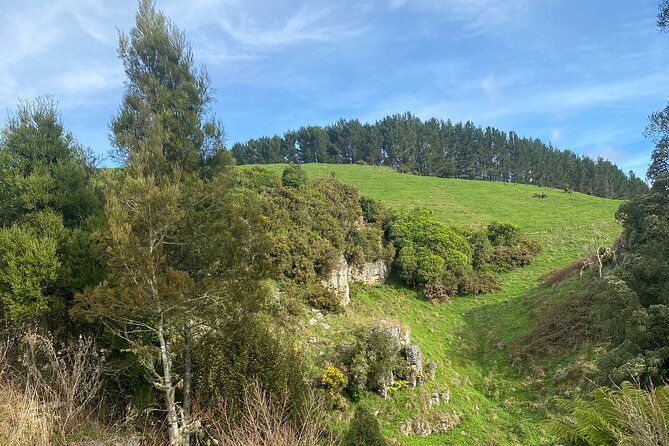 Auckland : Waitomo Spellbound Glow Worm Twin Caves Private Tour - Inside the Glowworm Grotto