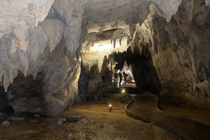Auckland : Waitomo Spellbound Glow Worm Twin Caves Private Tour - The break between caves