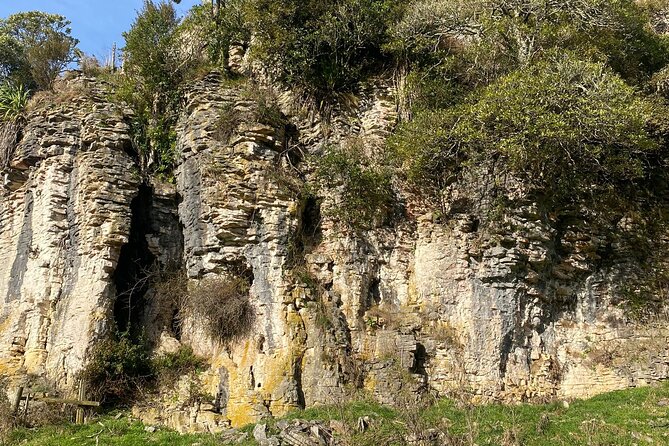 Auckland : Waitomo Spellbound Glow Worm Twin Caves Private Tour - Lunch in Otorohanga