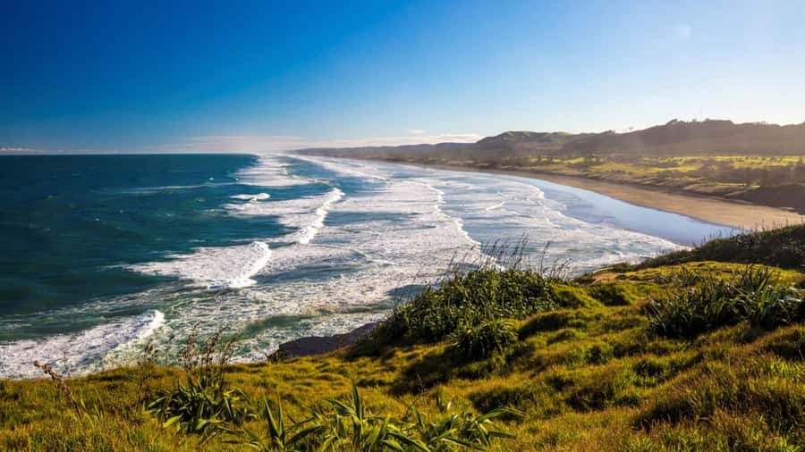 Auckland: West Coast Discovery - Key points to know before booking