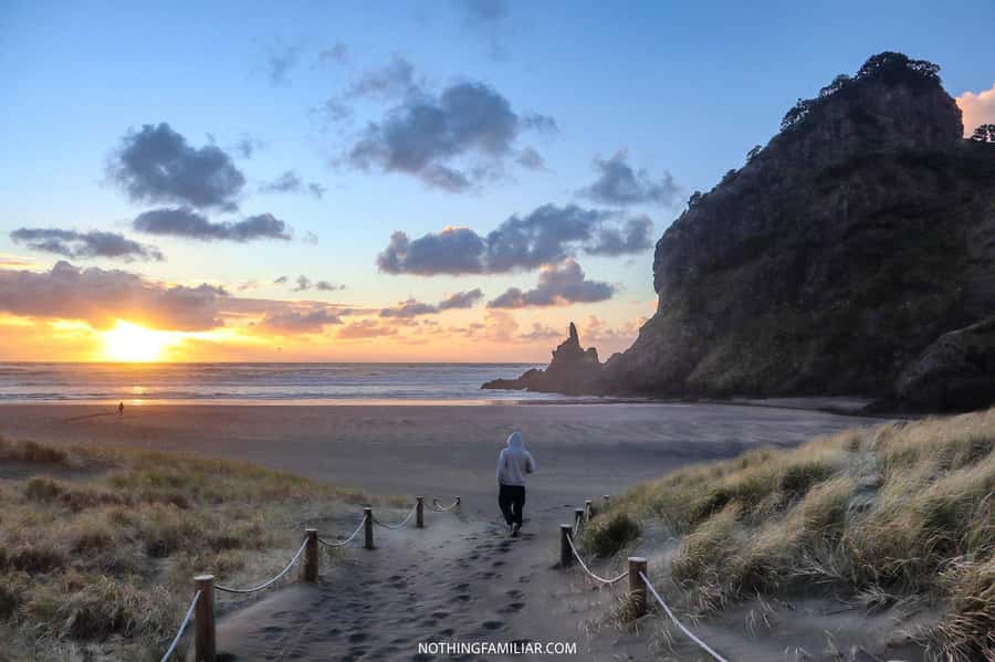 Auckland: West Coast Discovery - Karekare Falls, the quiet middle of the day