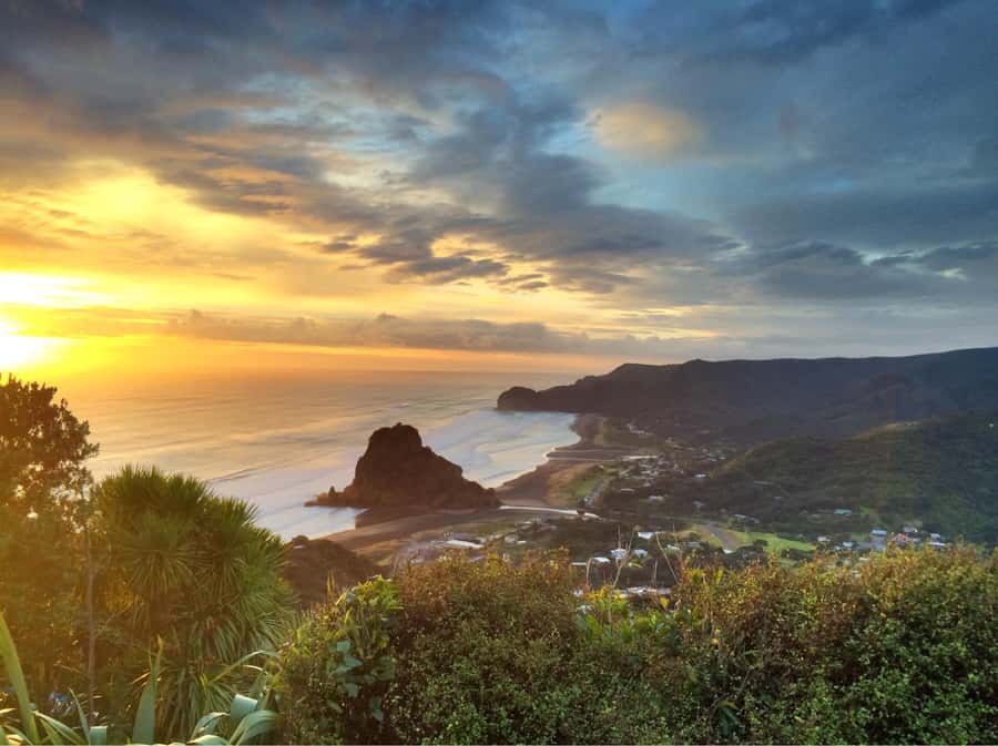 Auckland: West Coast Discovery - Arataki Visitor Centre and the first big views