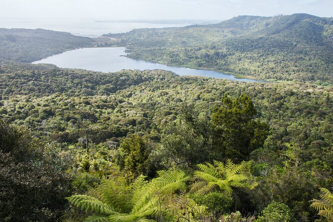 Auckland West Coast Half-Day Private Tour - Piha Beach is the main event