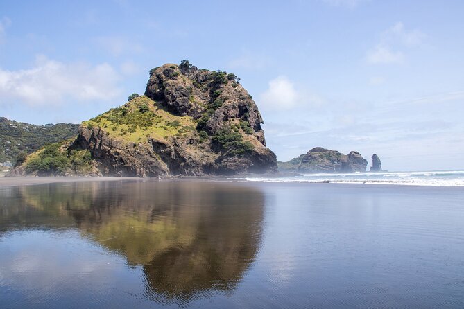 Auckland West Coast Half-Day Private Tour - Comfortable transport, with a few family details