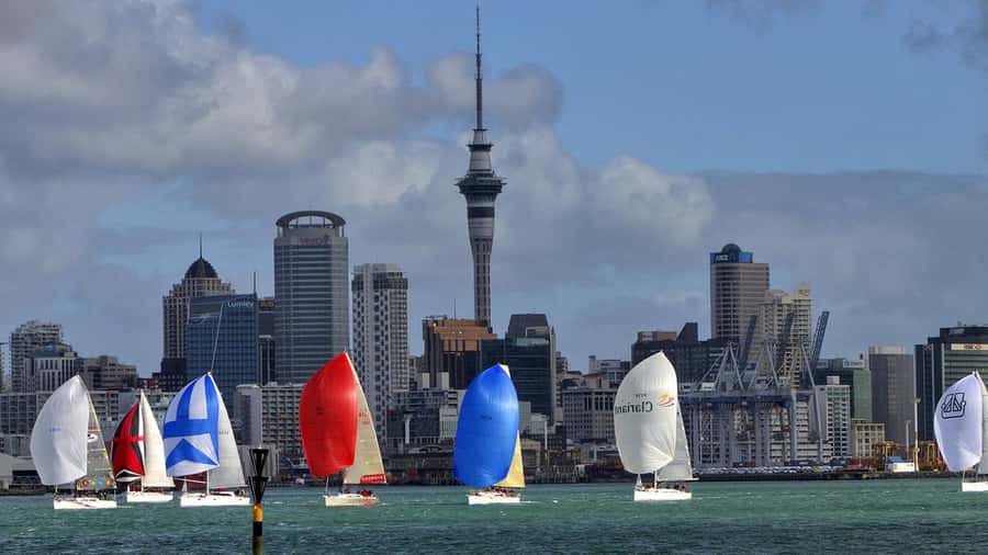 Auckland: Wild West Coast, Black Sand Beaches Tour inc Lunch - Why this tour makes sense beyond central Auckland