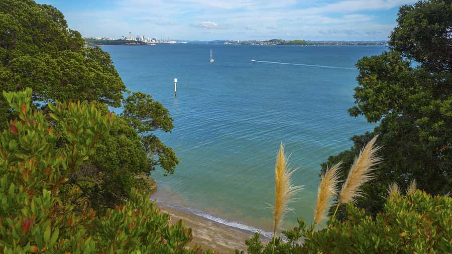 Auckland: Wild West Coast, Black Sand Beaches Tour inc Lunch - Guides, group style, and the pace of the day