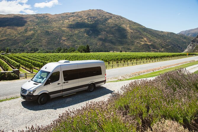 Award Winning Premium Wine Tour Queenstown Tasting at 4 Wineries - How much wine do you taste?
