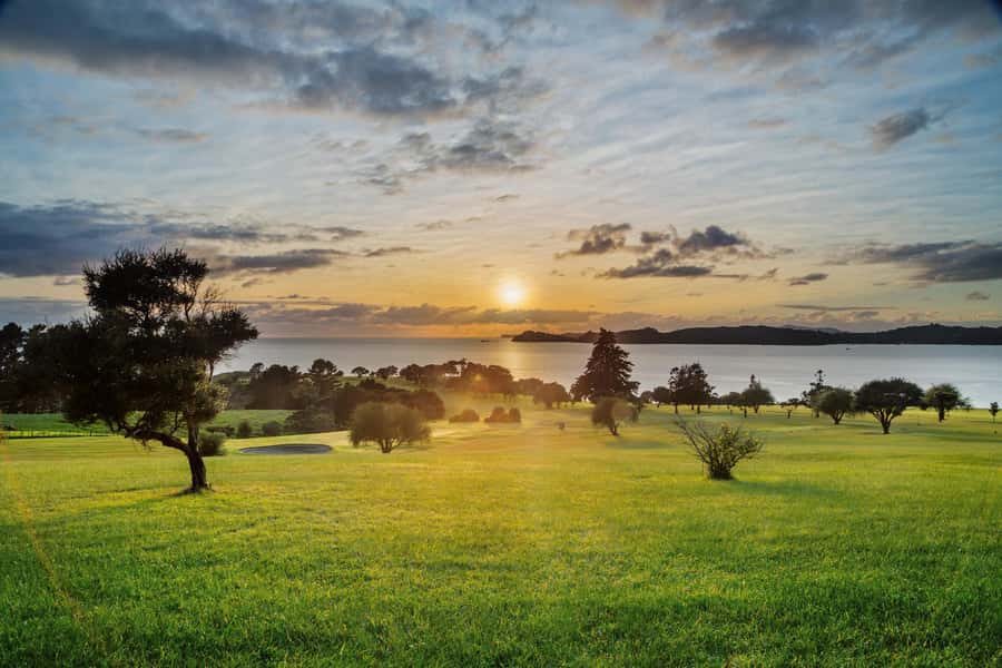 Bay of Islands: 1 Hour Scenic Bay of Islands Tour - Should you book the scenic Bay of Islands tour?