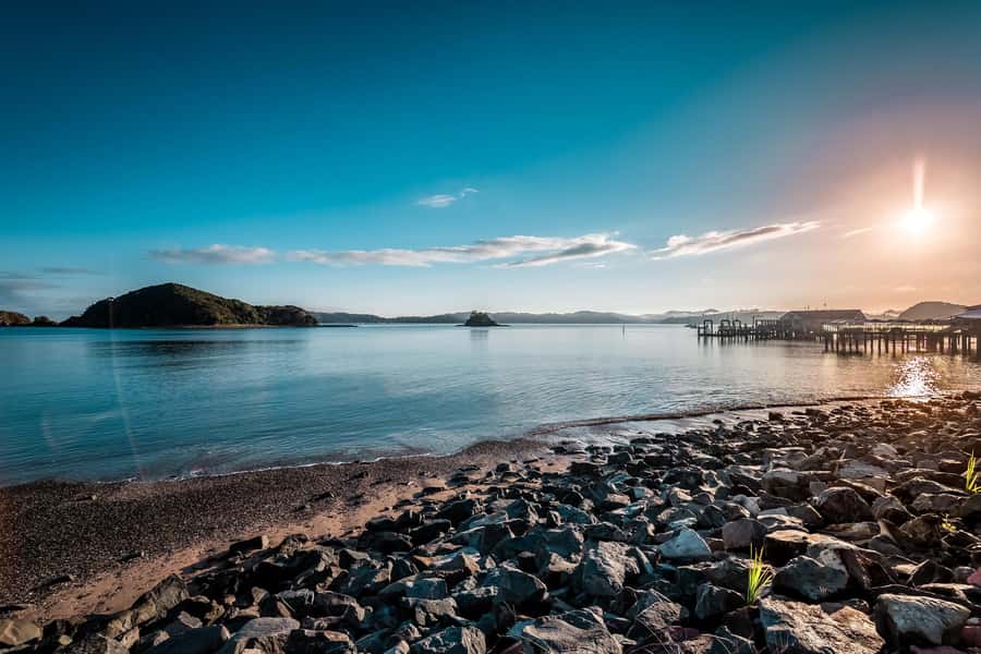Bay of Islands: 1 Hour Scenic Bay of Islands Tour - Haruru Falls and the sound of moving water