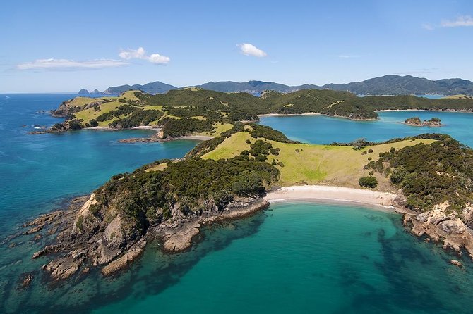 Bay of Islands 2-Day Small Group Tour & Cruise from Auckland - The Kauri Museum tells Northland’s timber story