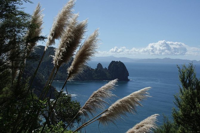 Bay of Islands 2-Day Small Group Tour & Cruise from Auckland - An evening in Paihia
