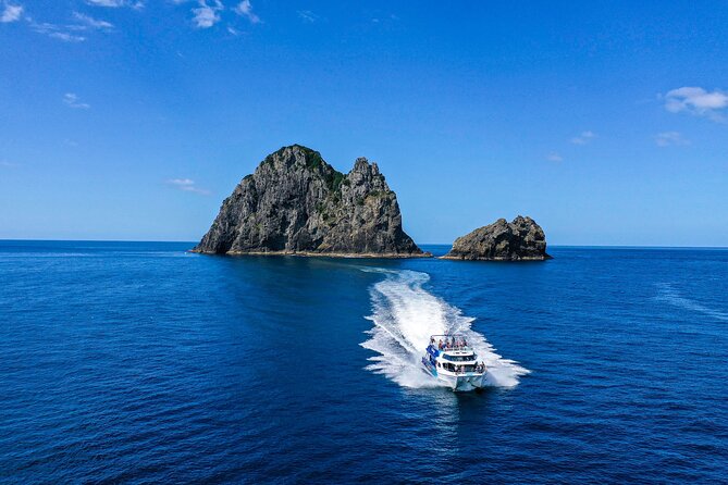 Bay of Islands 2-Day Small Group Tour & Cruise from Auckland - Tāne Mahuta and the quiet of Waipoua Forest