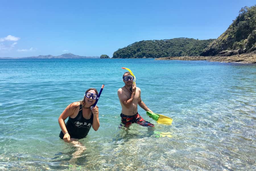 Bay of Islands: 4.5 Hour Day Cruise and Island Getaway Tour - My verdict: book it if you want variety