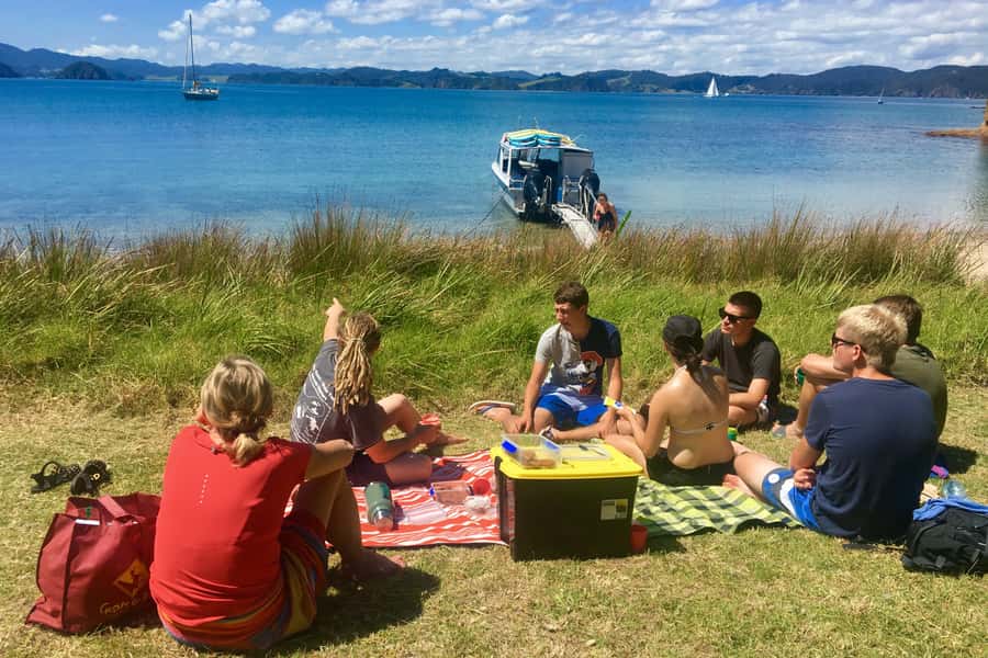 Bay of Islands: 4.5 Hour Day Cruise and Island Getaway Tour - Sailing through the Hole in the Rock