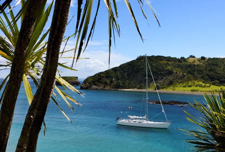 Bay of Islands: Awesome Day Sailing Tour with Island Stop - Key points to know before you sail
