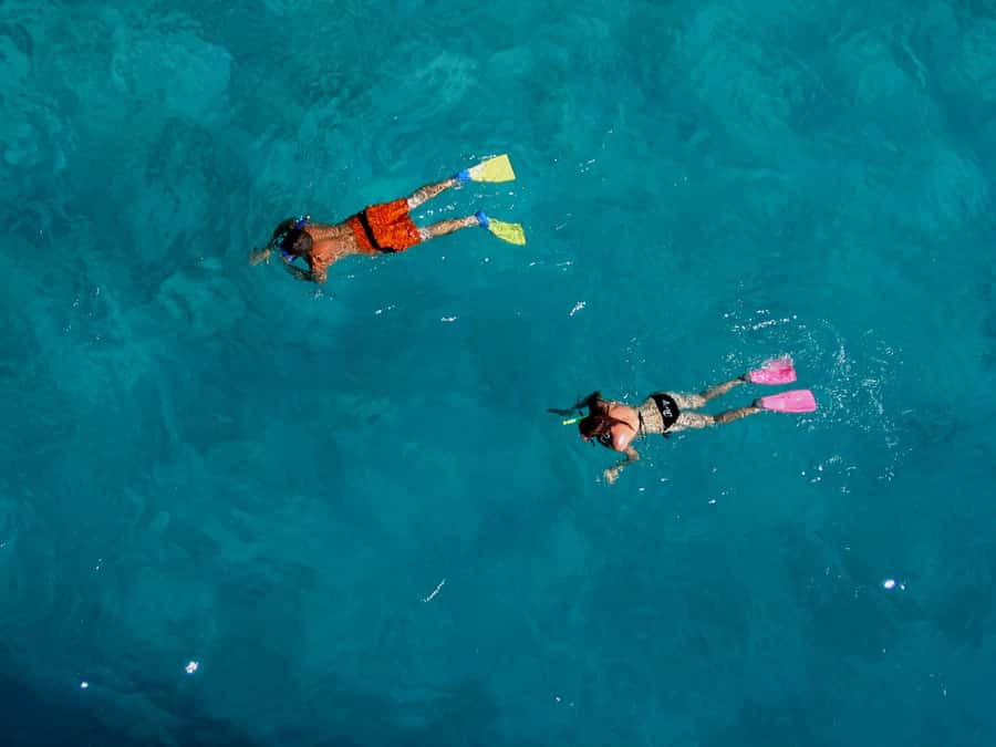 Bay of Islands: Awesome Day Sailing Tour with Island Stop - Is $104 good value for six hours?