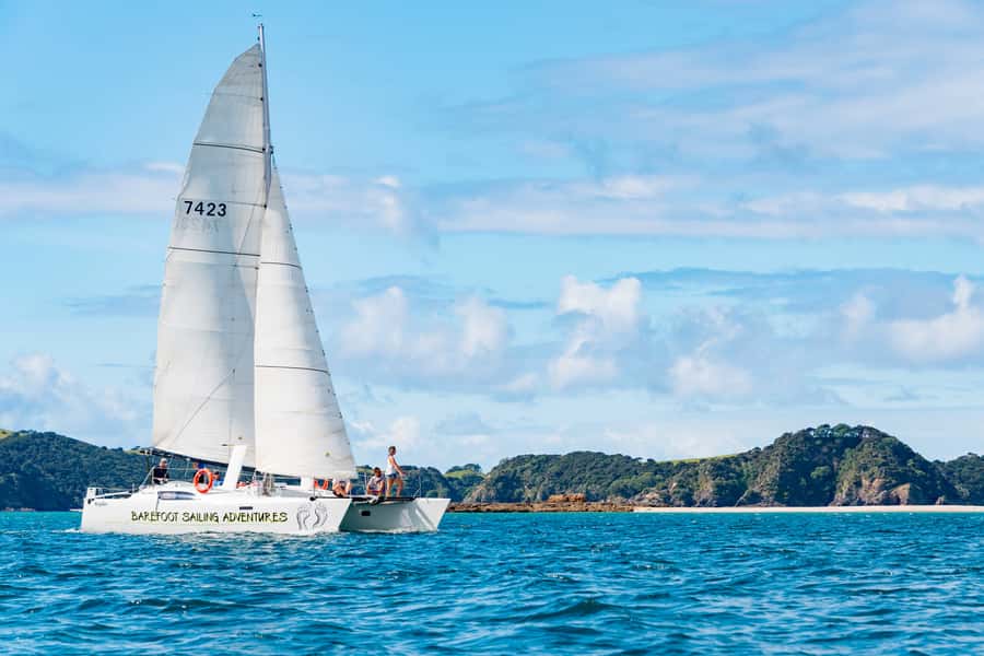 Bay of Islands: Catamaran Sail, Wildlife Island & Lunch - Key points before you book