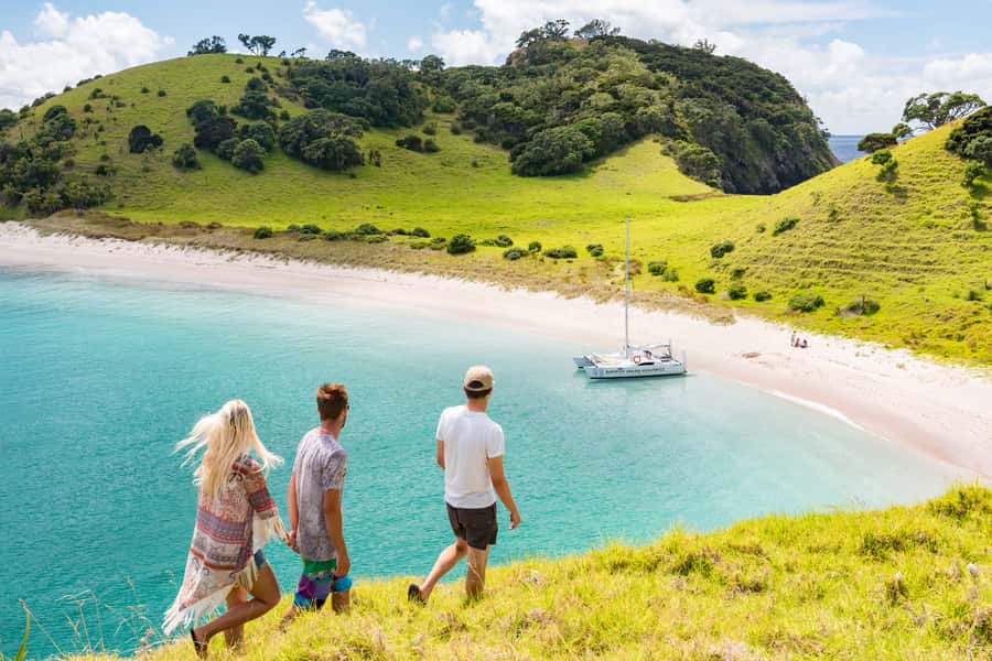 Bay of Islands: Catamaran Sail, Wildlife Island & Lunch - The two-hour wildlife sanctuary island stop