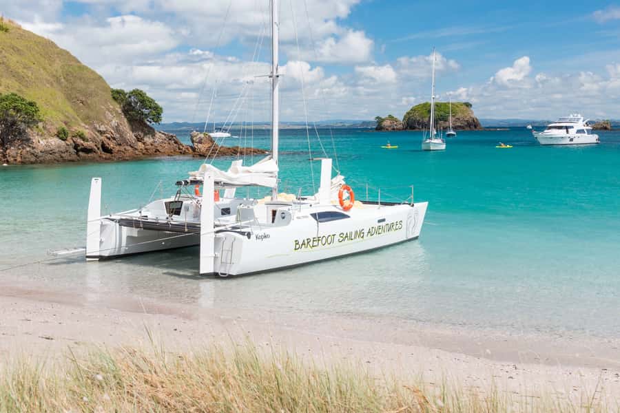 Bay of Islands: Catamaran Sail, Wildlife Island & Lunch - Snorkeling, paddleboarding, and native bush