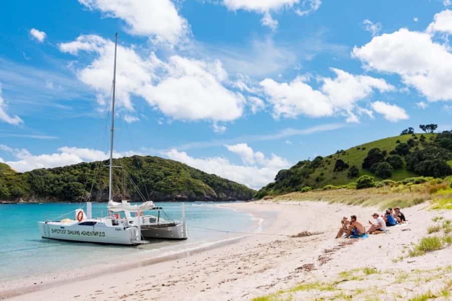 Bay of Islands: Catamaran Sail, Wildlife Island & Lunch - The return sail and the comfort factor