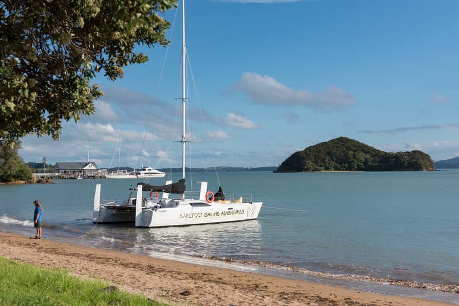 Bay of Islands: Catamaran Sail, Wildlife Island & Lunch - Two hours across the Bay of Islands