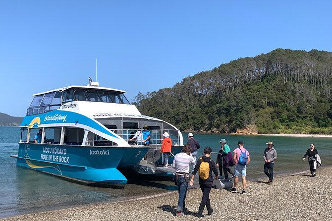 Bay of Islands Cruise & Island Tour - Snorkel, Hike,Swim,Wildlife - What this Bay of Islands tour is really like