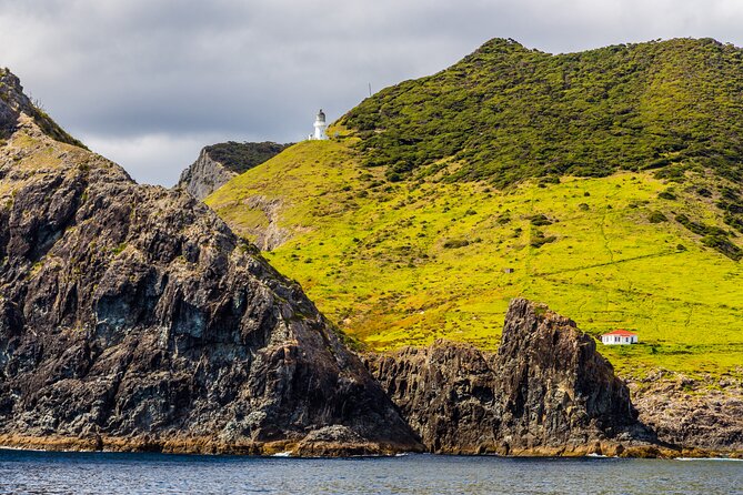 Bay of Islands Cruise & Island Tour - Snorkel, Hike,Swim,Wildlife - The second island stop: swim, snorkel, or slow down