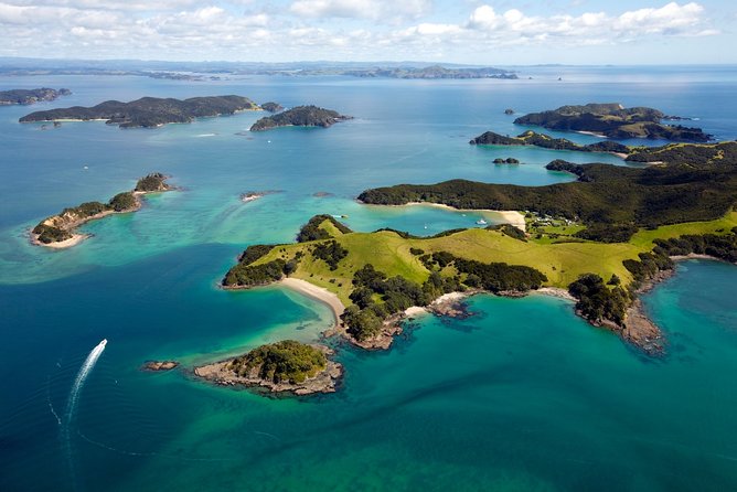Bay of Islands Cruise & Island Tour - Snorkel, Hike,Swim,Wildlife - The crew can make or break the day