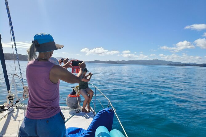Bay of Islands: Day Sailing Cruise with Island Stop and Lunch - Who will enjoy this sailing day most
