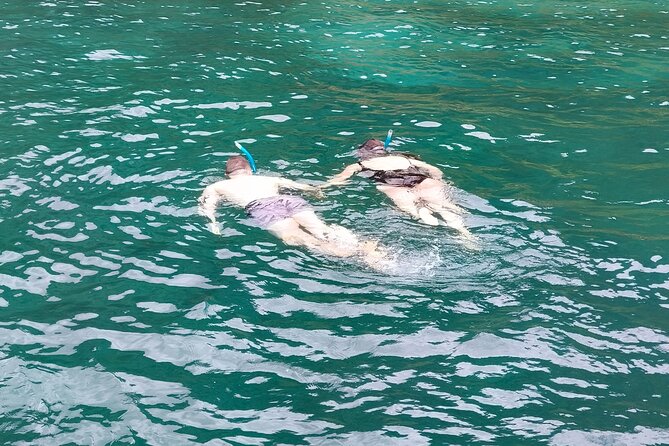 Bay of Islands: Day Sailing Cruise with Island Stop and Lunch - Practical tips for making the day better
