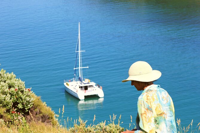 Bay of Islands: Day Sailing Cruise with Island Stop and Lunch - The two-hour island stop and its many choices