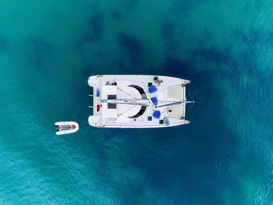 Bay of Islands: Day Sailing Cruise with Island Stop & Lunch - Leaving Paihia Wharf at 9:30 AM