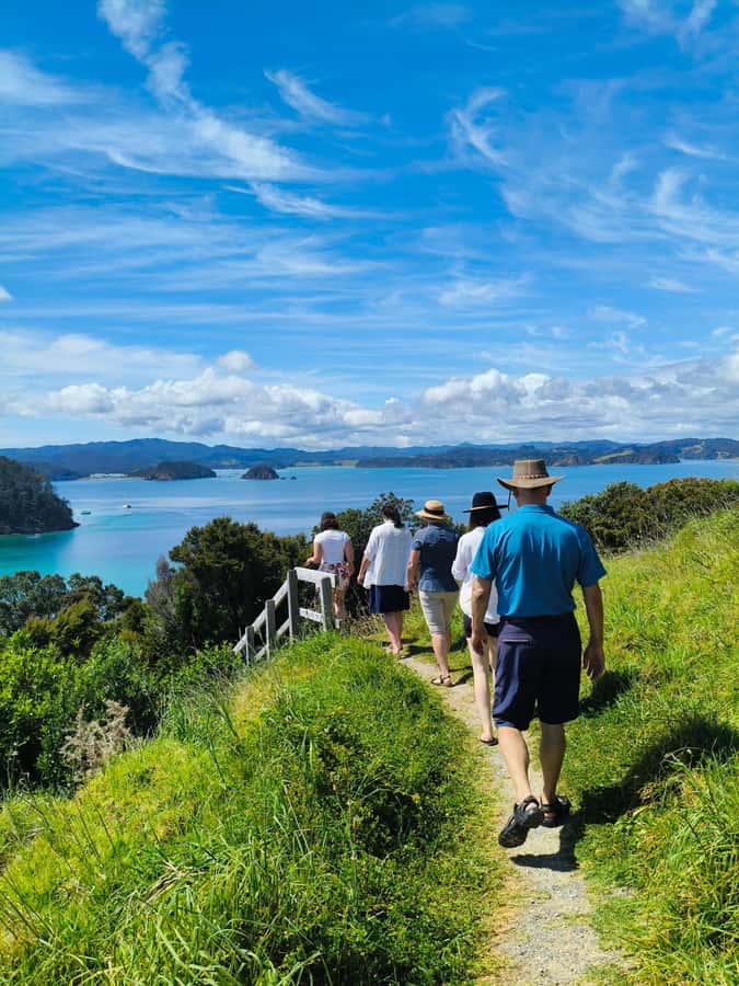 Bay of Islands: Day Sailing Cruise with Island Stop & Lunch - The two-hour island stop is the heart of the day