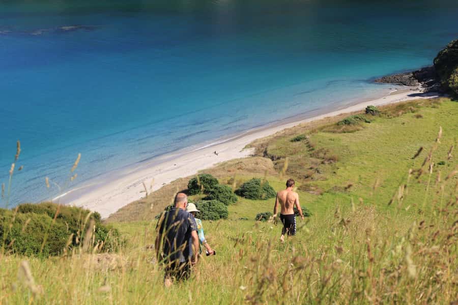 Bay of Islands: Day Sailing Cruise with Island Stop & Lunch - A boat designed for a long, easy day
