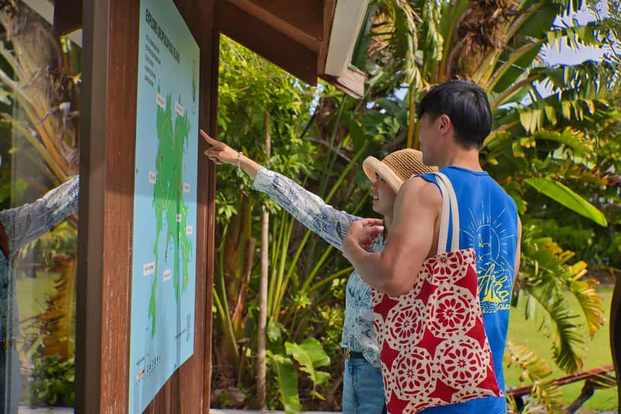 Bay of Islands: Discover the Bay Cruise with Island Lunch - Otehei Bay and the included island lunch