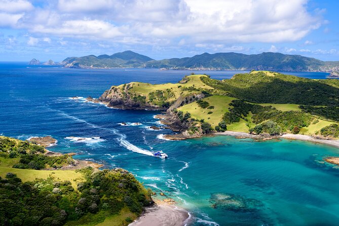 Bay of Islands Discovery Experience from Auckland incl. Hole In The Rock Cruise - Key points at a glance