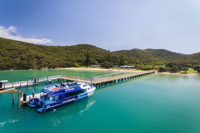 Bay of Islands Discovery Experience from Auckland incl. Hole In The Rock Cruise - Auckland pickup and the long road north