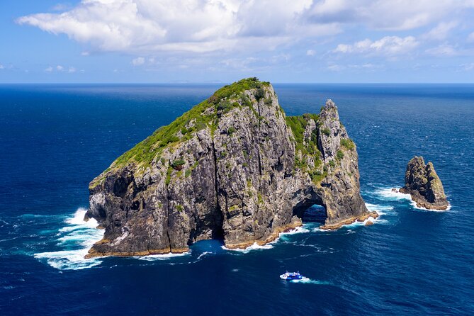 Bay of Islands Discovery Experience from Auckland incl. Hole In The Rock Cruise - What the $650.98 price really buys