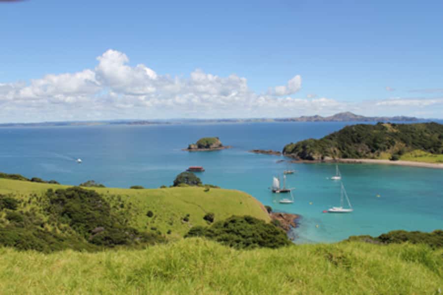 Bay of Islands: Full-Day Tall Ship Sailing Excursion - The secluded bay and Motuarohia Island stop