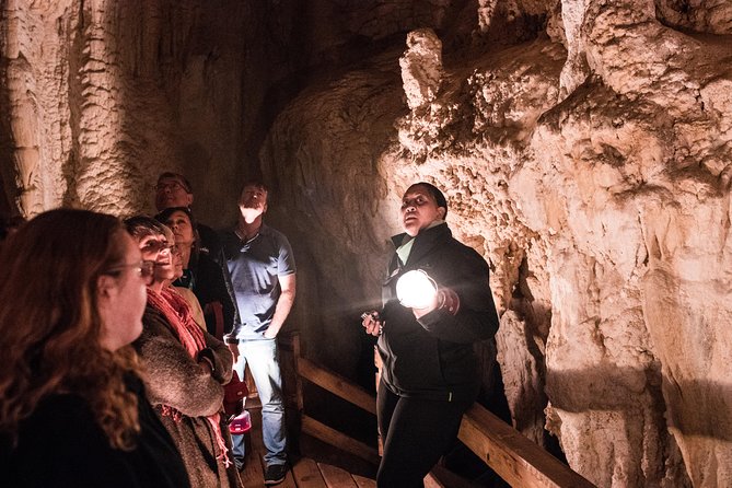 Bay of Islands Glow Worm Caves & Scenic Shore Excursion - Haruru Falls: quick views with real atmosphere
