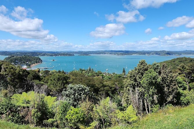 Bay of Islands Scenic Tour - A practical introduction to the Bay of Islands