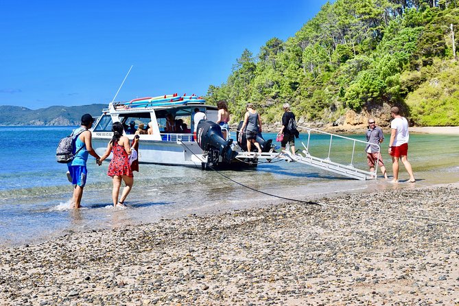 Bay of Islands Shore Excursion: Puketi Rainforest Guided Walk - Why the small group matters