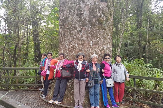 Bay of Islands Shore Excursion: Puketi Rainforest Guided Walk - A closer look at the $157.01 price