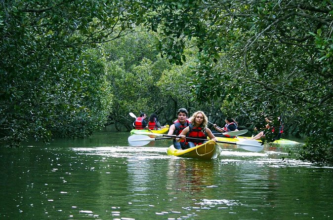 Bay of islands Waterfall Cruise Kayaking Tour - Clothing, Weather, and What to Pack