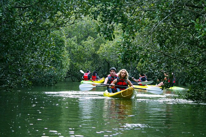 Bay of islands Waterfall Cruise Kayaking Tour - The Long Paddle to the Waterfall