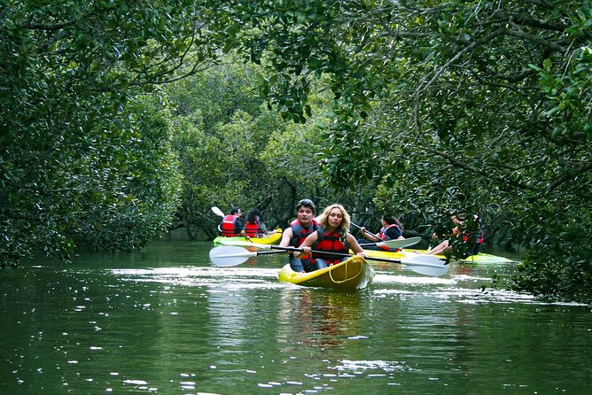 Bay of Islands Waterfall Explorer Kayaking Tour - Price, group size, and overall value